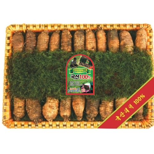 국산더덕 왕대 2kg